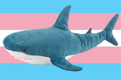 Blahaj meaning What does Blahaj mean in English? The official name of this plushie is blåhaj, which is the Swedish word for blue shark